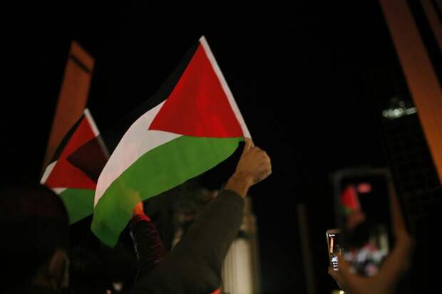 Власти Ирландии и Норвегии официально признали Палестину независимым государством