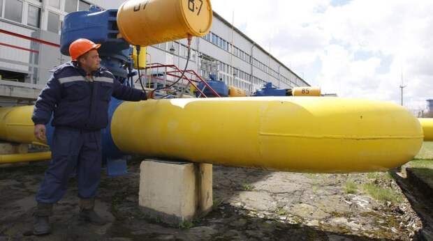 Фото: www.globallookpress.com