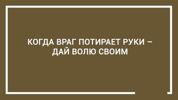 20 дельных советов — этому не учат в школе 20 дельных советов — этому не учат в школе открытка, совет, юмор