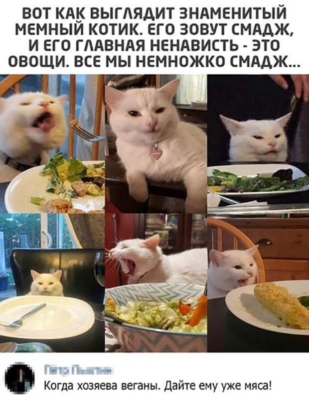 Прикольные и смешные картинки
