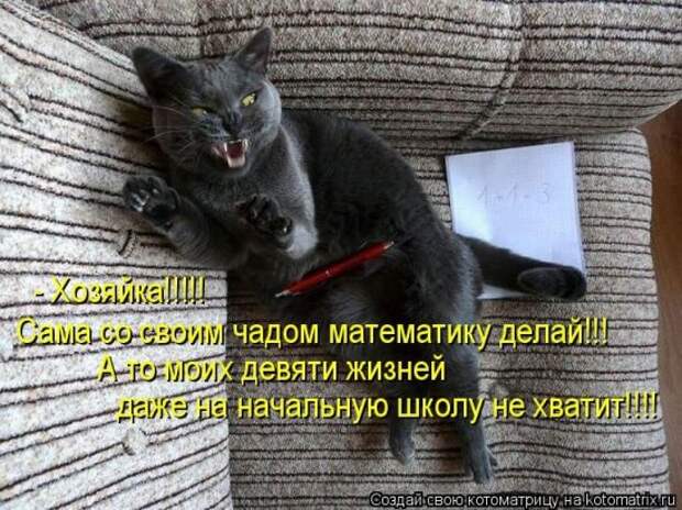 Подборка Котоматриц 2010 - Выпуск 28