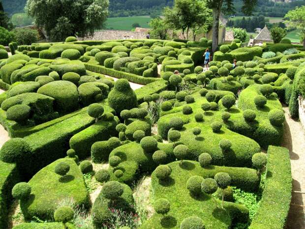 Сад Marqueyssac — вековые самшиты в огранке профессиональных садовников