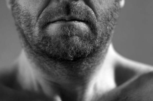 beard-bacteria