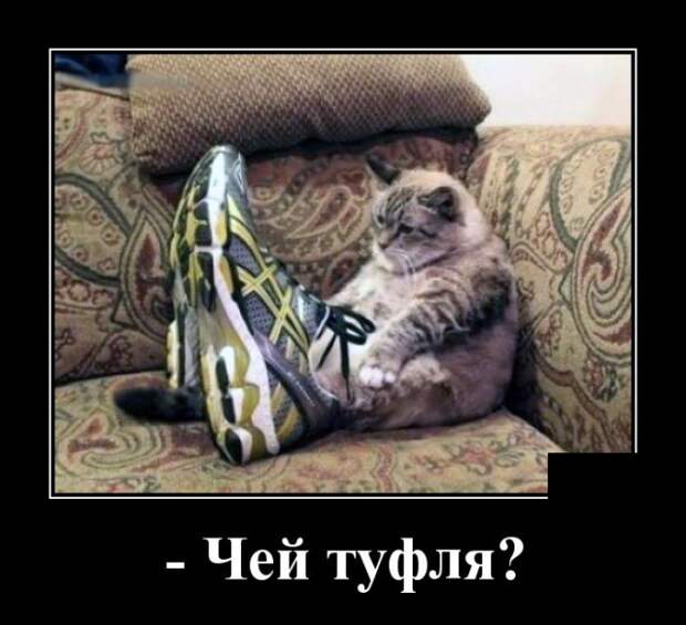Демотиваторы (30 фото)