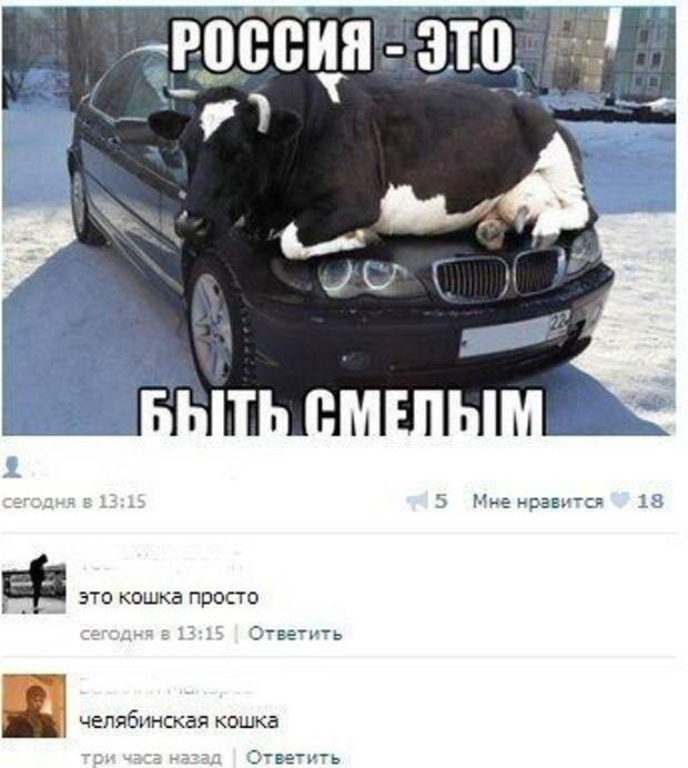 Смешные комментарии из социальных сетей