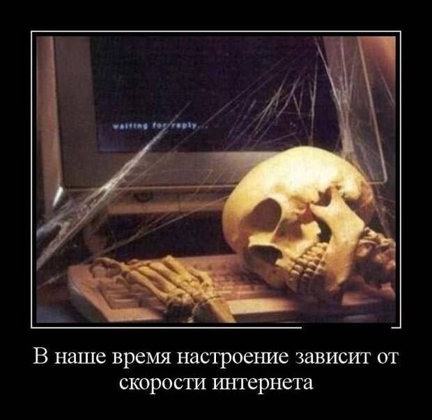 Демотиваторы  демотиваторы, прикол, смех, юмор