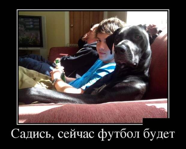 Прикольная коллекция демотивационных приколову Прикольная коллекция демотивационных приколову