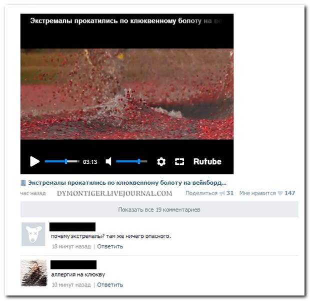 Смешные комментарии из социальных сетей 06.08.14  комментарии, прикол, соцсети, юмор