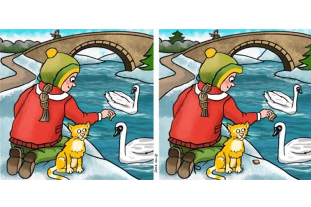 Река, девочка и рыжий кот: найдите 11 отличий за 40 секунд