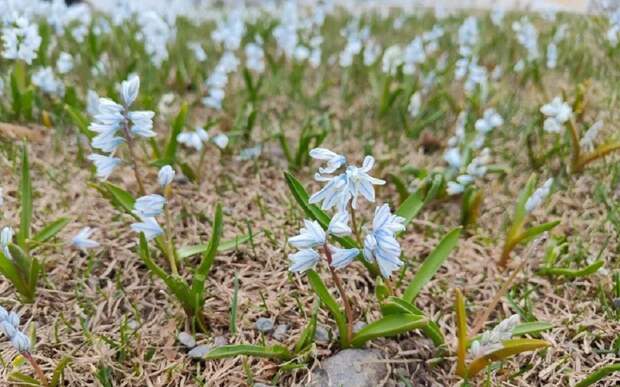 Метеоролог рассказал, когда в Рязанскую область вернется тепло