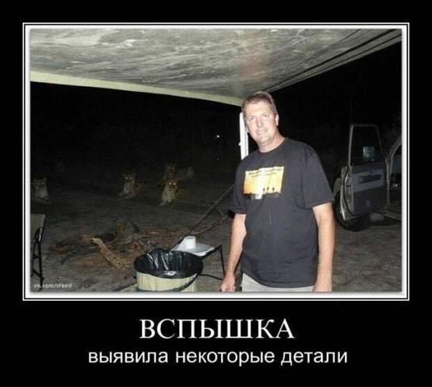 Демотиваторы (34 фото)