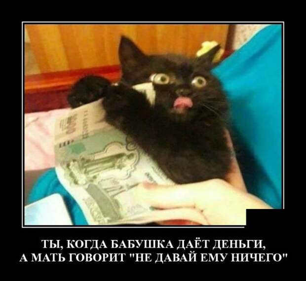 Демотиваторы (30 фото)