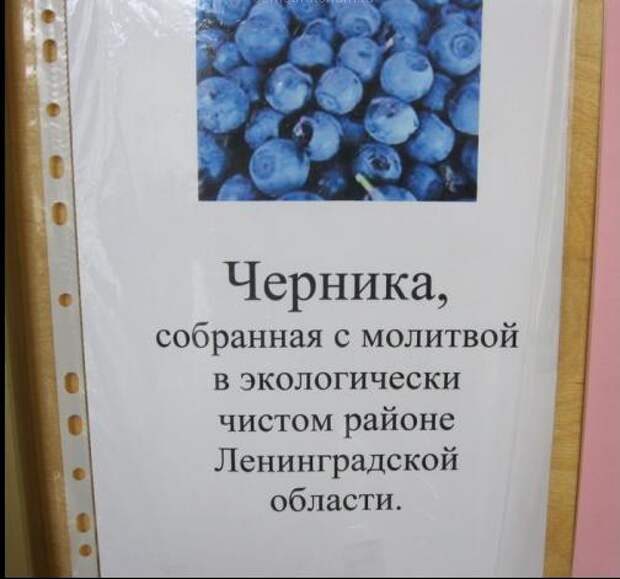 Бизнес с нуля и без вложений. Реальные истории "успеха" Бизнес с нуля и без вложений. Реальные истории "успеха" бизнес, прикол, юмор