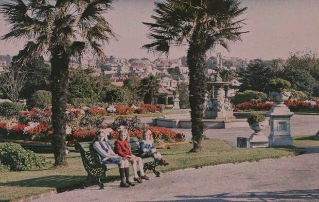 Albert Park, 1915, Auckland, by Robert Walrond.jpg Albert Park, 1915, Auckland, by Robert Walrond.jpg