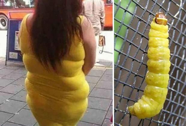Девушка в желтом платье и гусеница