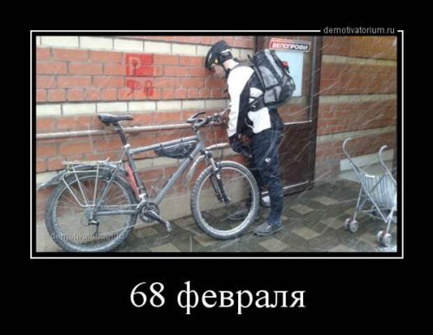 Прикольные картинки - свежая подборка Прикольные картинки - свежая подборка
