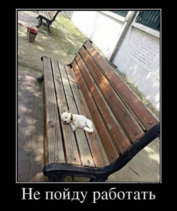 Самые клёвые демотиваторы дня Самые клёвые демотиваторы дня