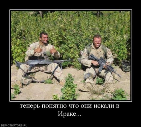 Демотиваторы новые и только смешные.