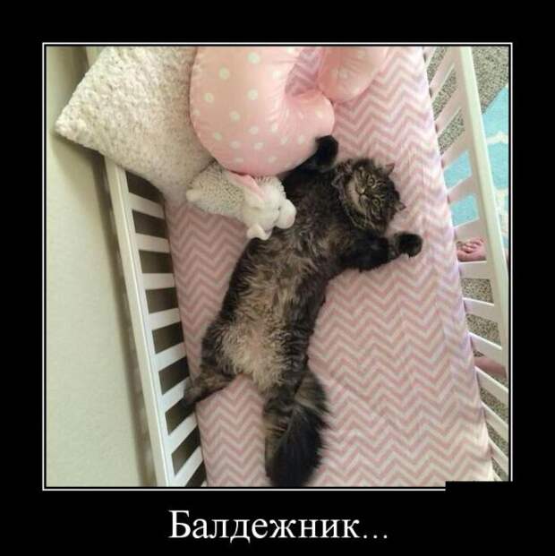 Пятничная подборка демотиваторов демотиватор, юмор