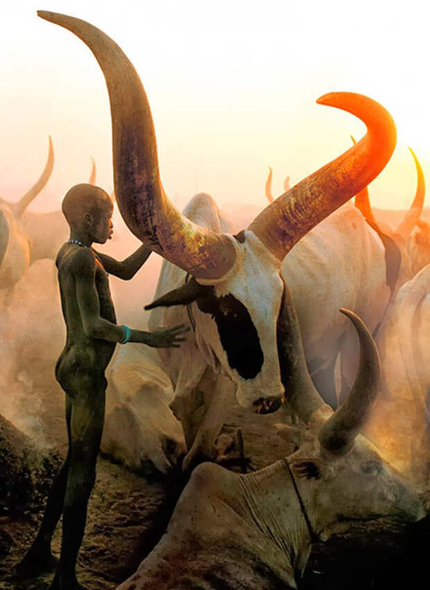 Динка – удивительная нилотская этническая группа из Судана