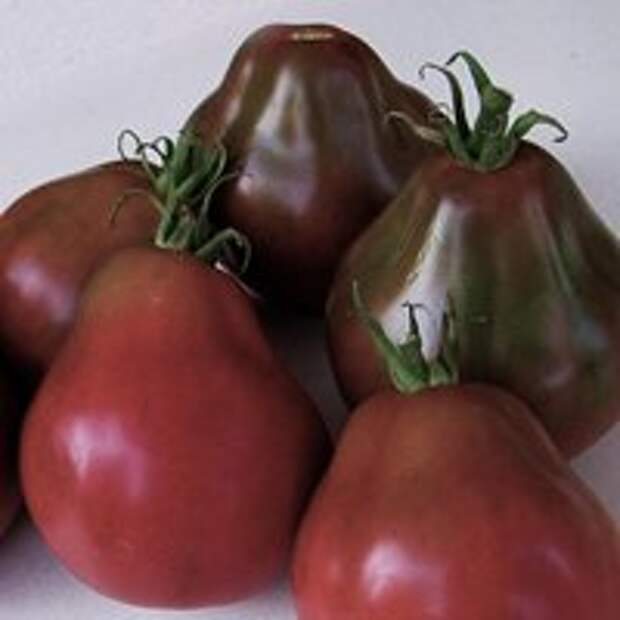 новинки томатов 2015, томат японский трюфель черный