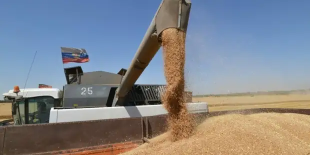 Европа «пролетела» с ожиданиями получить зерно у Китая