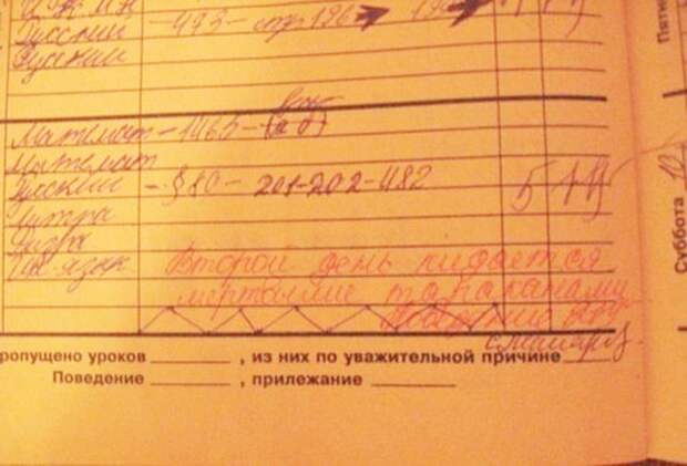 15 перлов из школьных тетрадей 15 перлов из школьных тетрадей дети, перлы, школа