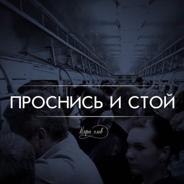 Игра слов (17 фото)