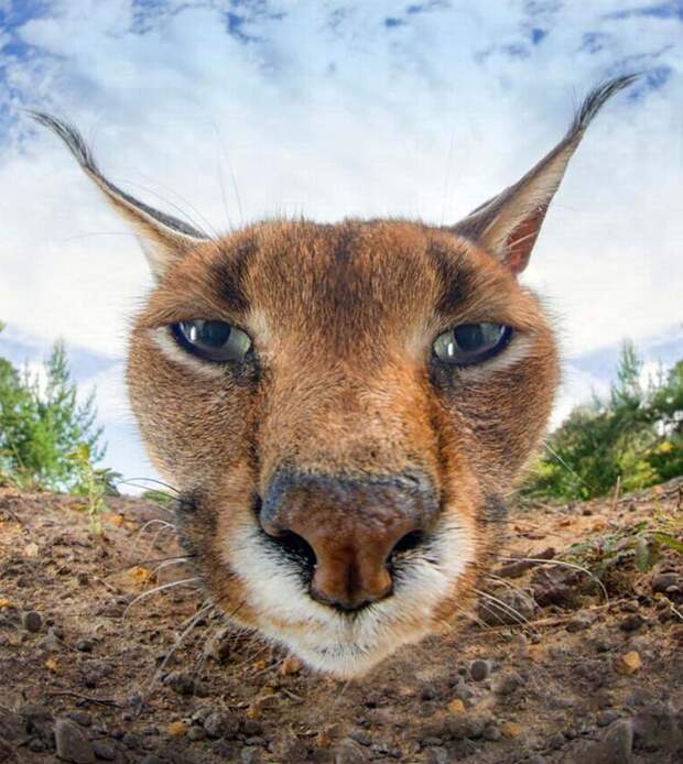 Фотографии, которые покажут, насколько удивителен наш мир
