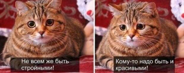 Смотрим прикольные картинки (49 шт)