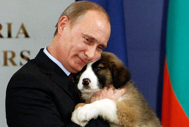 В 2010 году Путину подарили щенка болгарской овчарки каракачанской породы