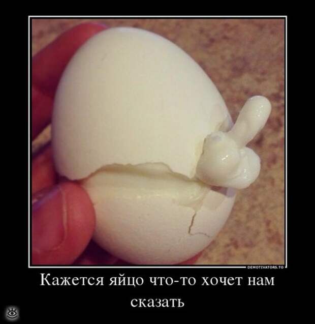 В поисках смысла 19