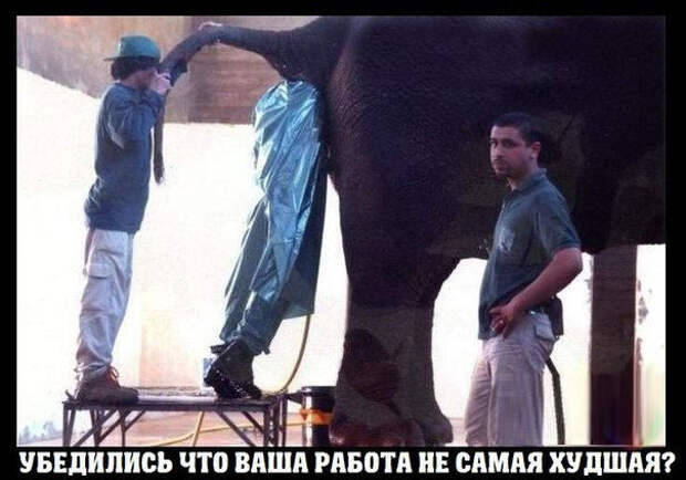 Смешные картинки с надписями прикол, юмор