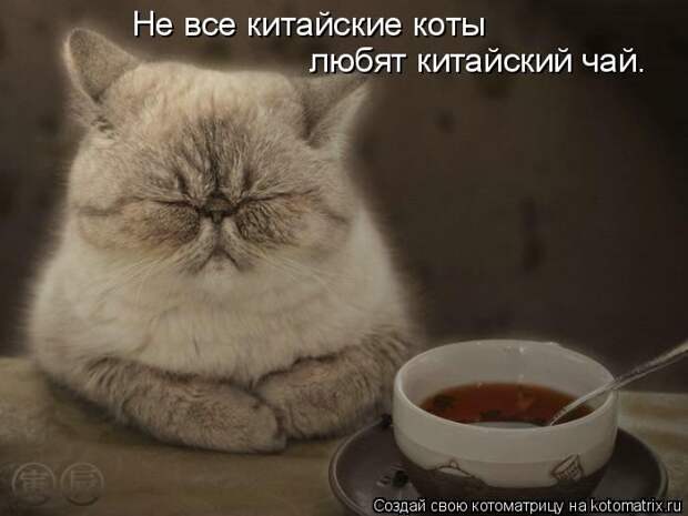 Мысли вслух :)