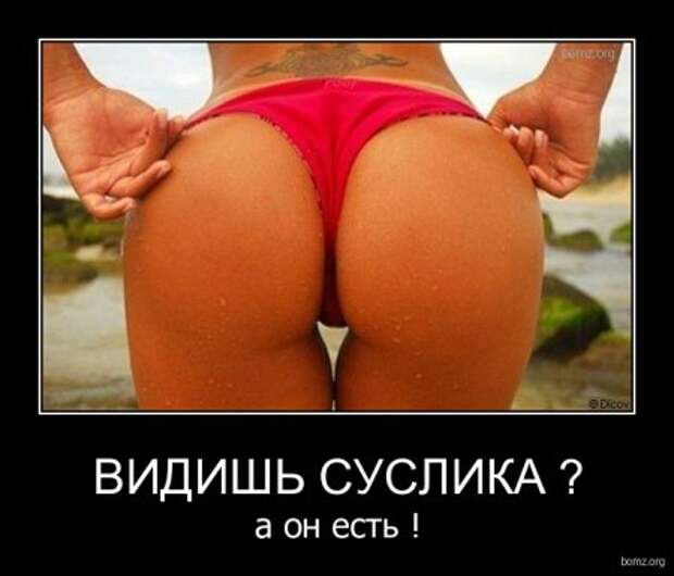 Демотиваторы фото приколы картинки с надписями.