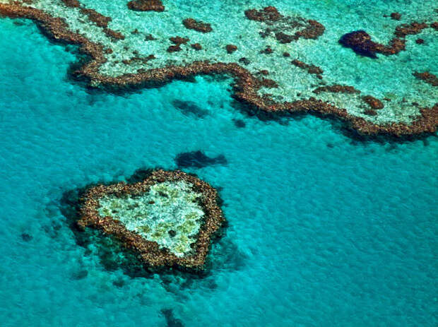 2. Большой Барьерный риф. мир, природа, факты