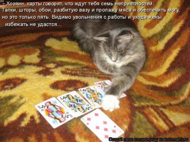 Котоматрица