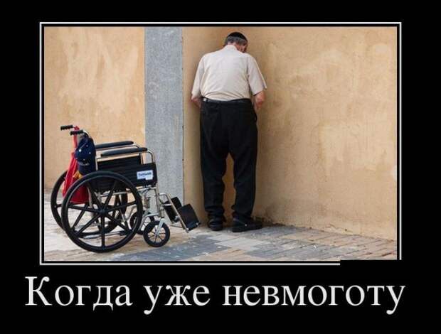 Демотиваторы (30 фото)