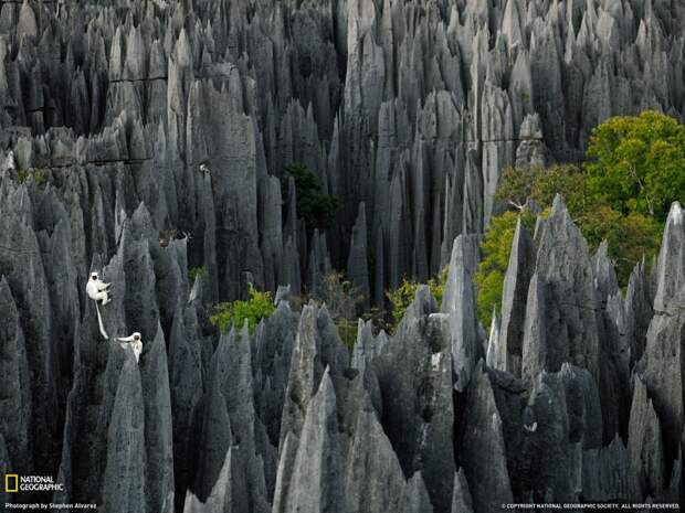 Цинги-де-Бемараха — каменный лес на Мадагаскаре. земля, красота, пейзаж, планета