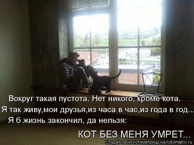 Лучшие котоматрицы недели (50 фото)