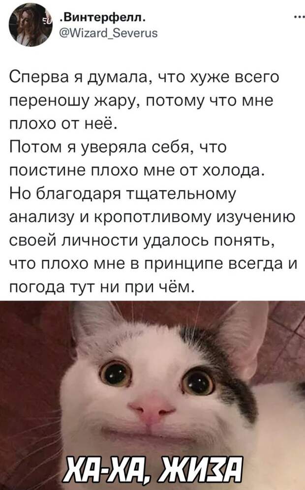 Смешные картинки вечер 6 декабря 2021 года