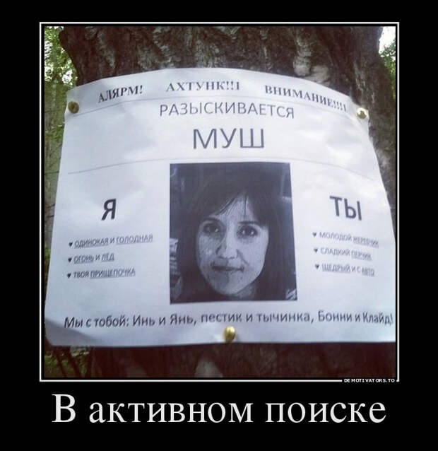 demotiv_024.jpg demotiv_024.jpg