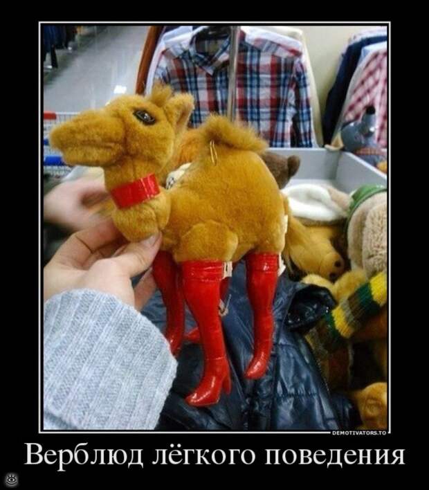 Безвозмездные демотиваторы 1
