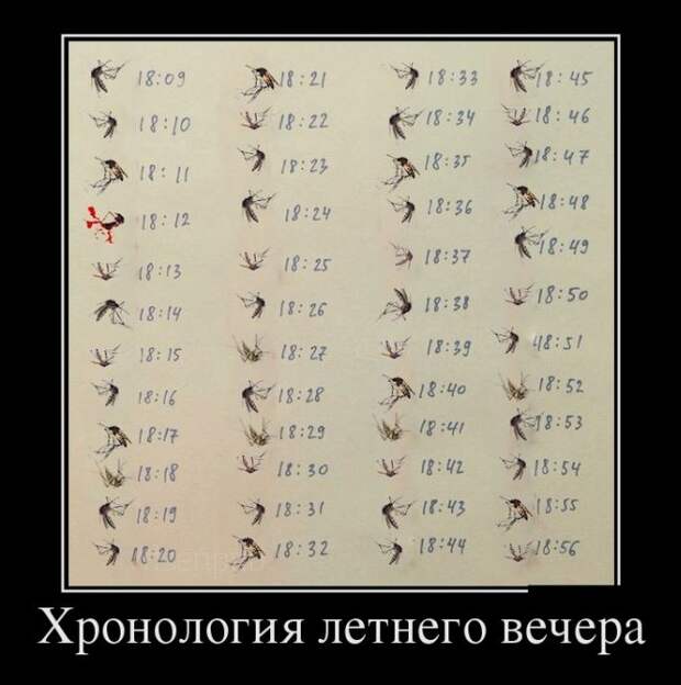 Демотиваторы №1088 (30 фото)