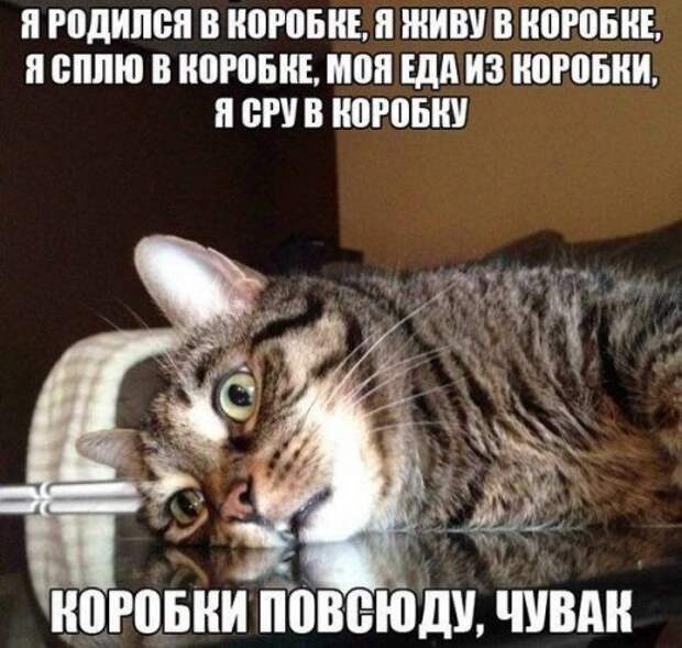 Весёлые фотомемы. Позитивная подборка Весёлые фотомемы. Позитивная подборка