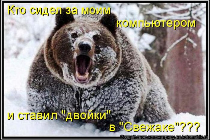 Лучшие котоматрицы недели (50 фото)