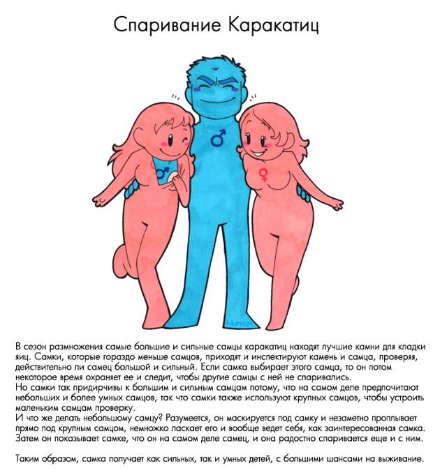 000033-g59pb0p8is
