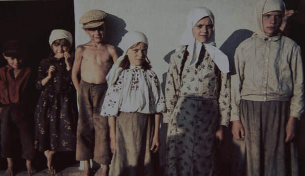 Новинки, 15 августа 1941 г. Дети из детского дома при совхозе в Новинках.