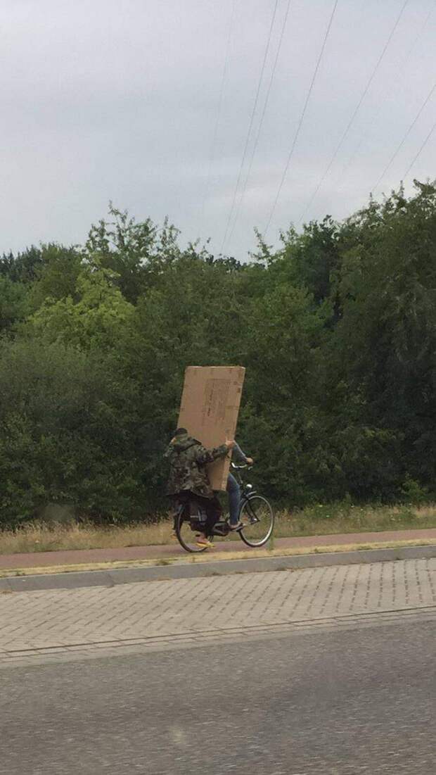 Подборка прикольных картинок