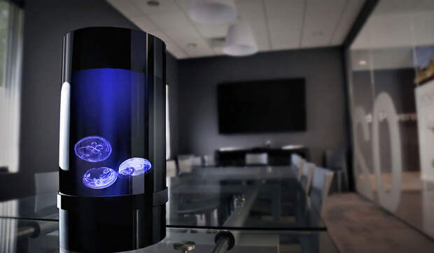 pet-jellyfish-art-led-aquarium-3